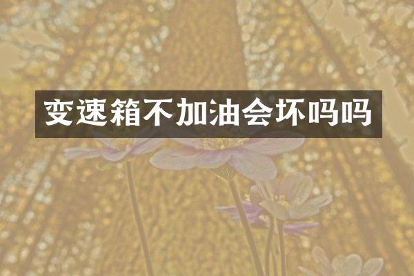 变速箱不加油会坏吗吗