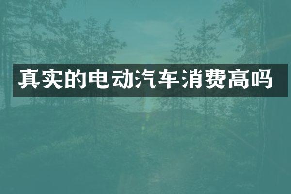 真实的电动汽车消费高吗