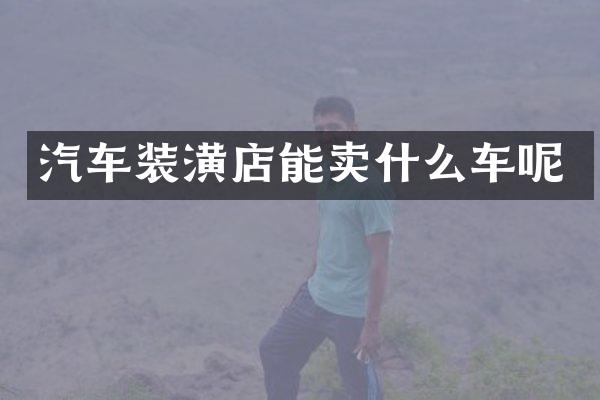 汽车装潢店能卖什么车呢