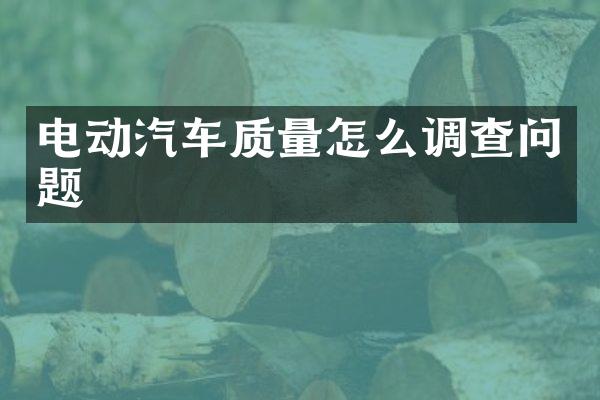 电动汽车质量怎么调查问题