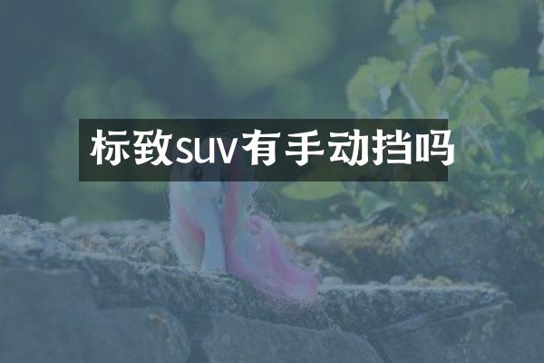 标致suv有手动挡吗