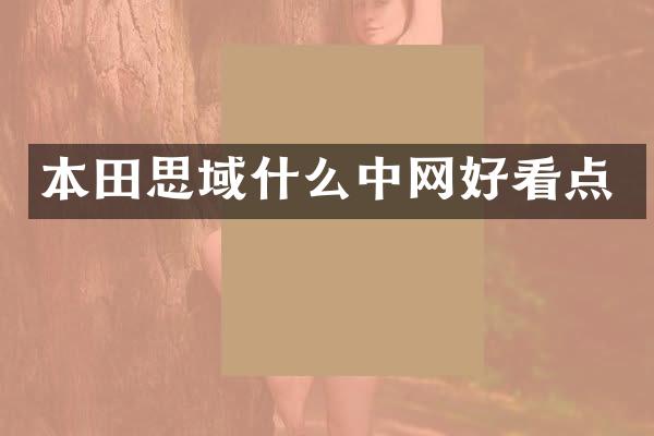 本田思域什么中网好看点