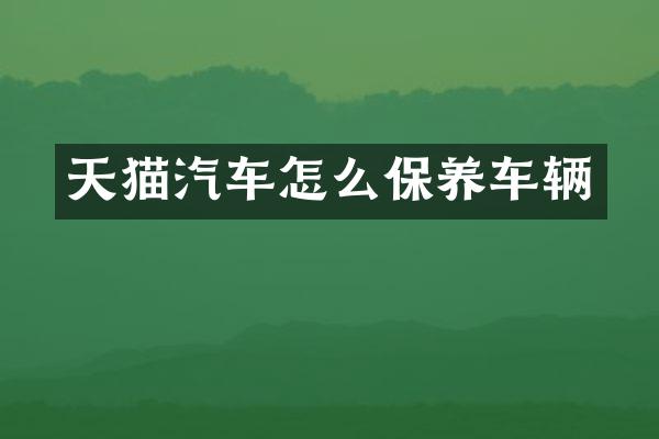 天猫汽车怎么保养车辆