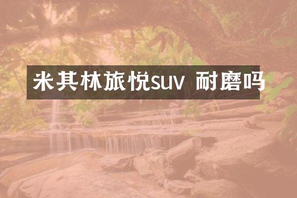 米其林旅悦suv 耐磨吗