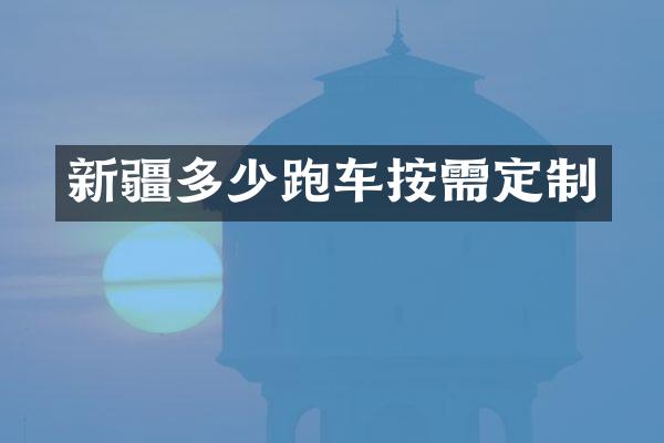 新疆多少跑车按需定制