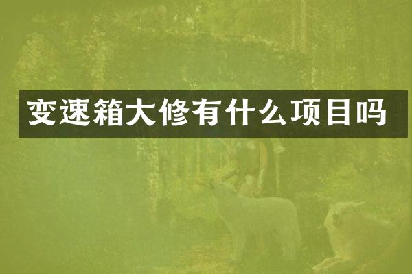 变速箱大修有什么项目吗