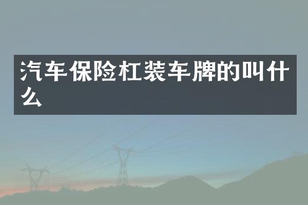 汽车保险杠装车牌的叫什么
