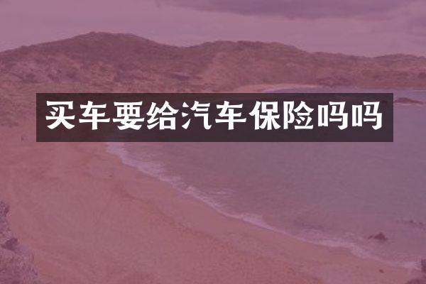 买车要给汽车保险吗吗