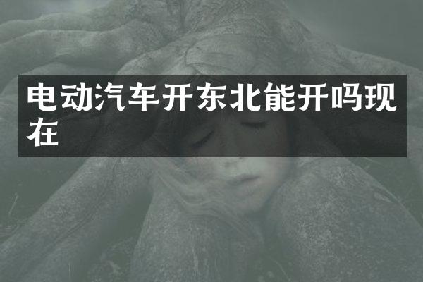 电动汽车开东北能开吗现在