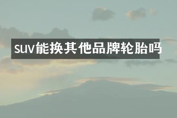 suv能换其他品牌轮胎吗