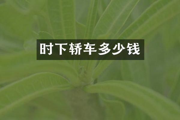 时下轿车多少钱