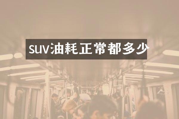 suv油耗正常都多少