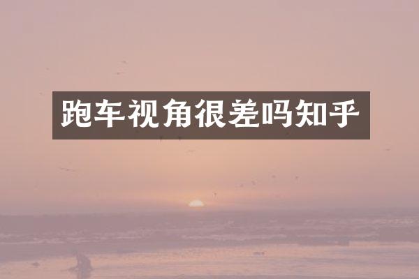 跑车视角很差吗知乎