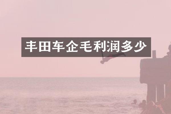 丰田车企毛利润多少