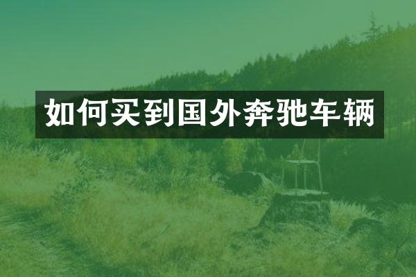 如何买到国外奔驰车辆