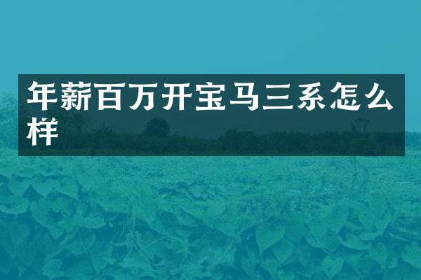 年薪百万开宝马三系怎么样