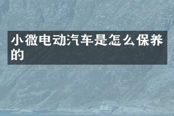 小微电动汽车是怎么保养的