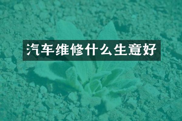 汽车维修什么生意好