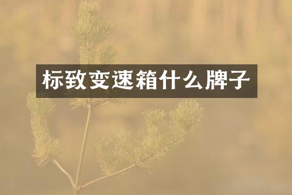 标致变速箱什么牌子