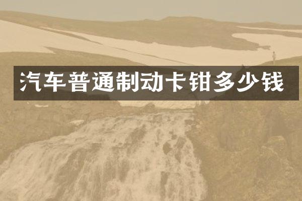 汽车普通制动卡钳多少钱