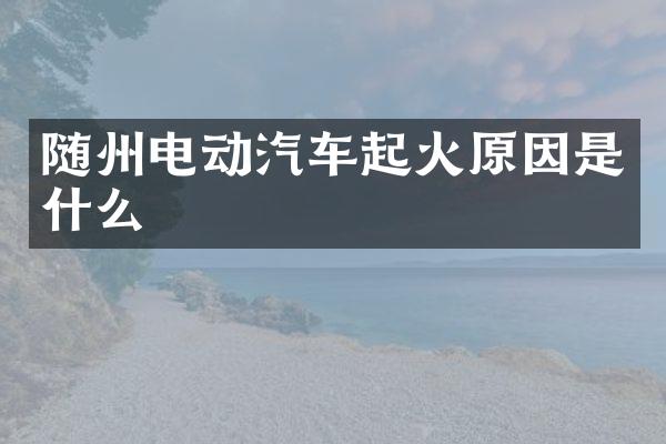 随州电动汽车起火原因是什么