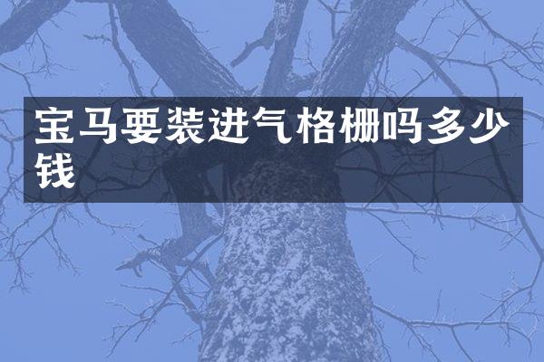 宝马要装进气格栅吗多少钱