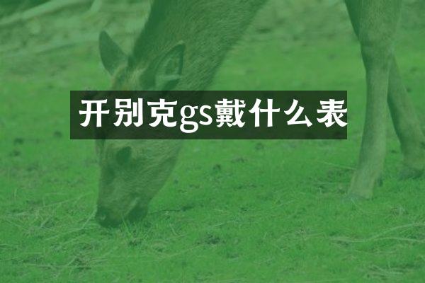 开别克gs戴什么表