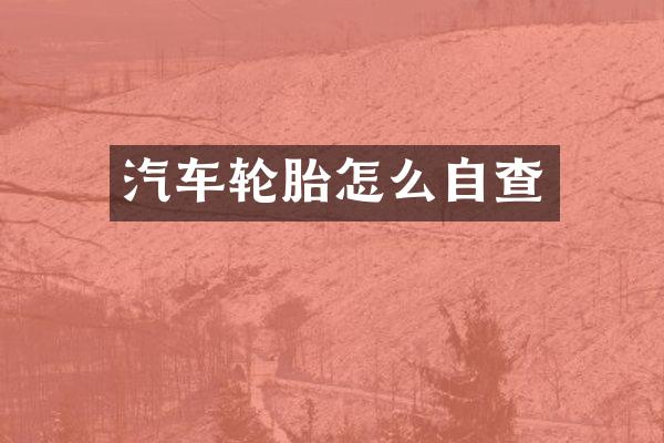 汽车轮胎怎么自查