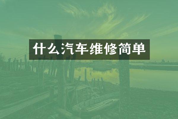 什么汽车维修简单