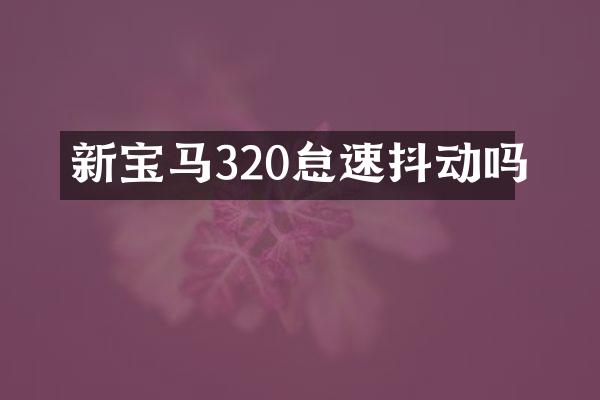 新宝马320怠速抖动吗