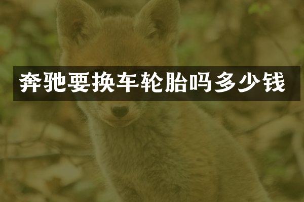 奔驰要换车轮胎吗多少钱