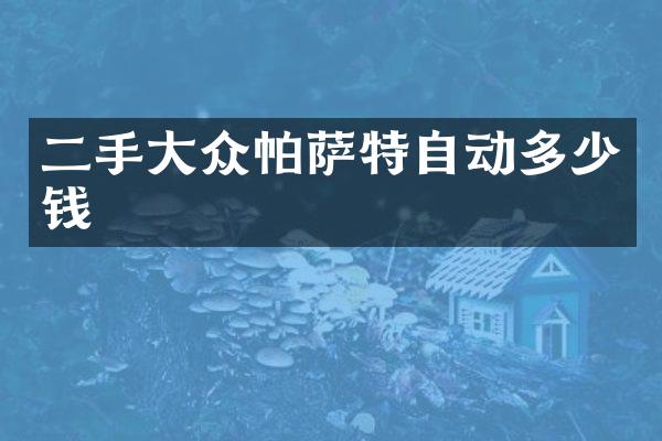二手大众帕萨特自动多少钱