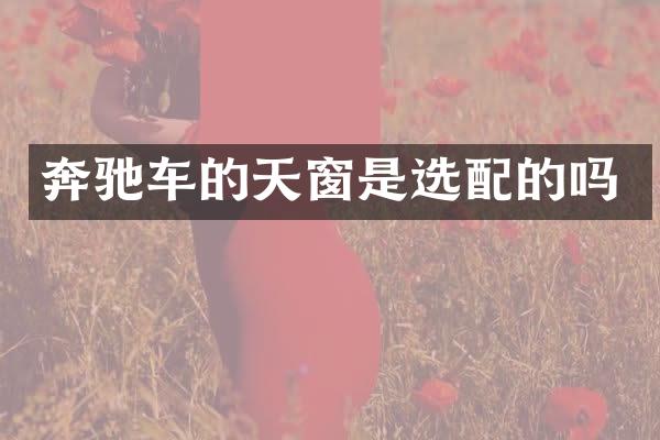奔驰车的天窗是选配的吗