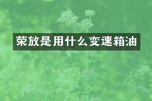 荣放是用什么变速箱油