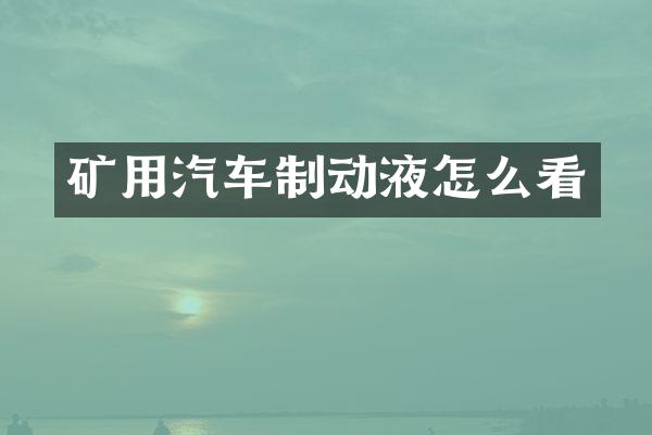矿用汽车制动液怎么看