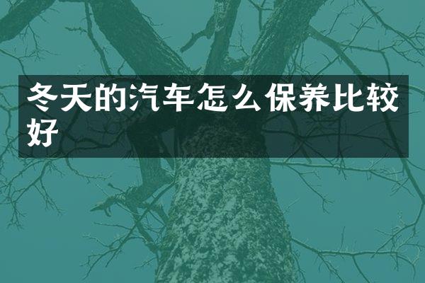 冬天的汽车怎么保养比较好