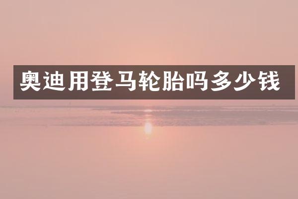奥迪用登马轮胎吗多少钱