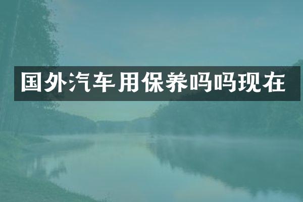 国外汽车用保养吗吗现在