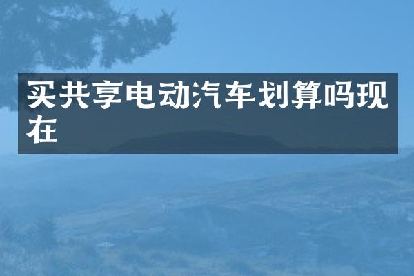 买共享电动汽车划算吗现在