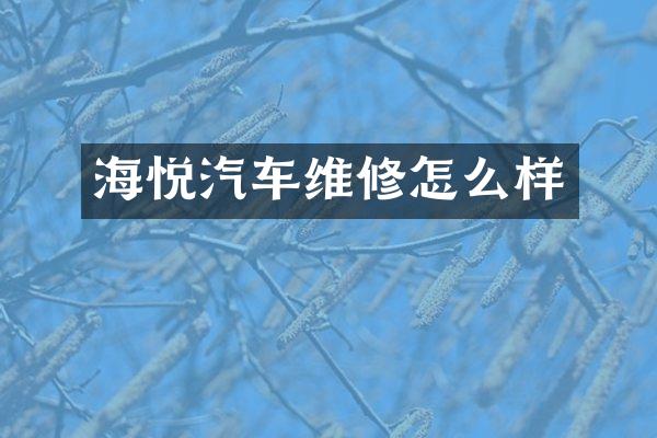 海悦汽车维修怎么样