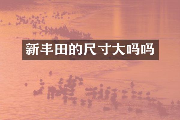 新丰田的尺寸大吗吗