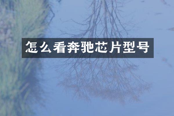 怎么看奔驰芯片型号