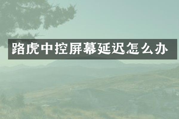 路虎中控屏幕延迟怎么办