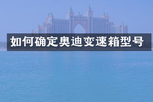 如何确定奥迪变速箱型号