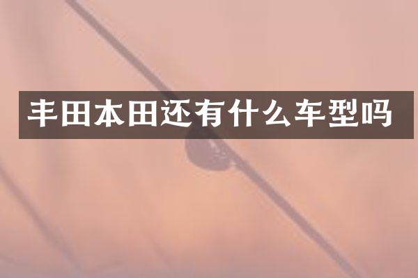 丰田本田还有什么车型吗
