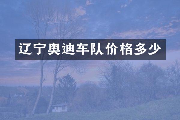 辽宁奥迪车队价格多少