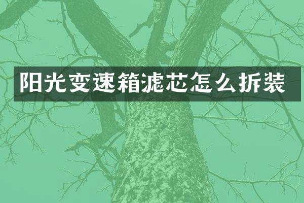 阳光变速箱滤芯怎么拆装