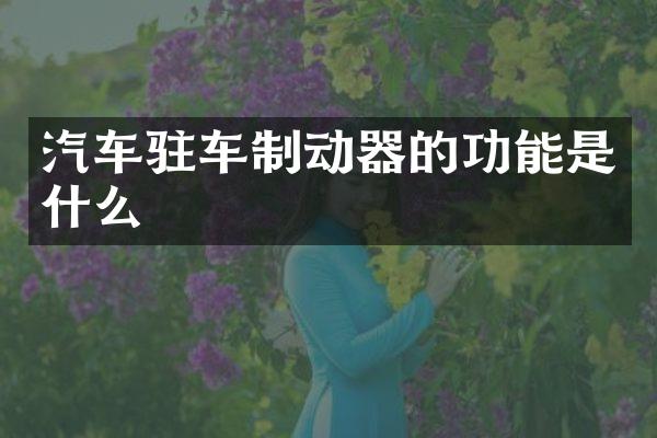 汽车驻车制动器的功能是什么