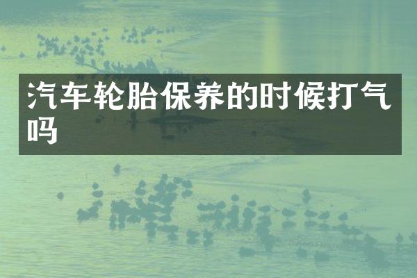 汽车轮胎保养的时候打气吗