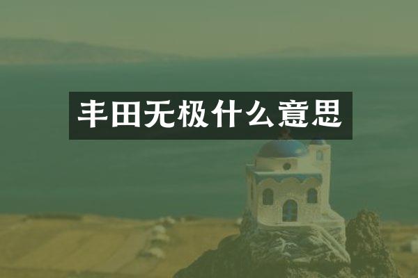 丰田无极什么意思